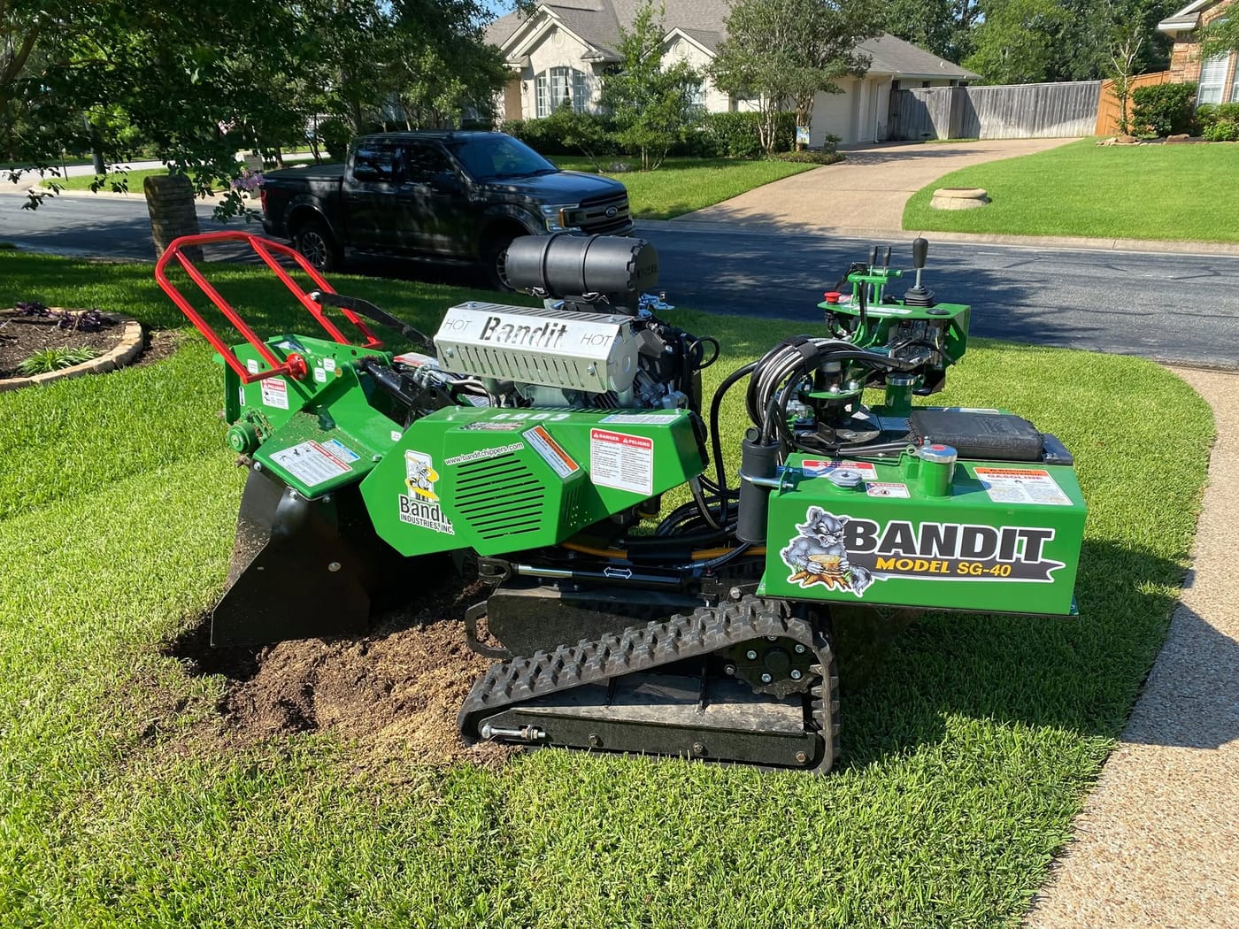 What Affects the Cost of Stump Grinding? The 6 Factors That Matter