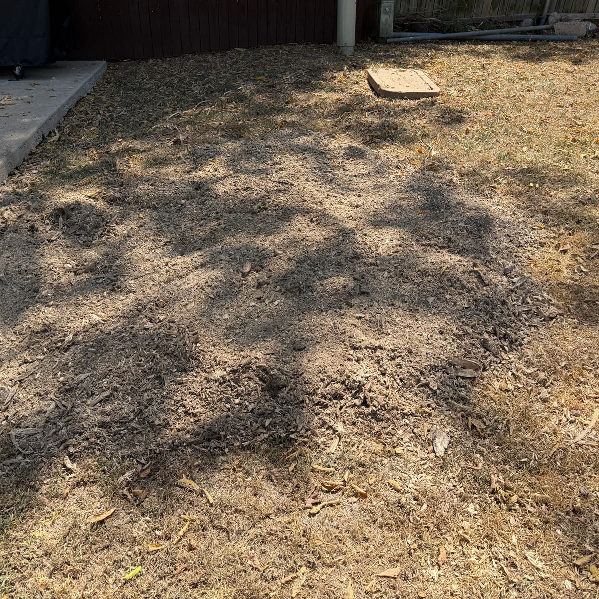 After: stump removal in Duncanville, TX — ground level, ready for grass
