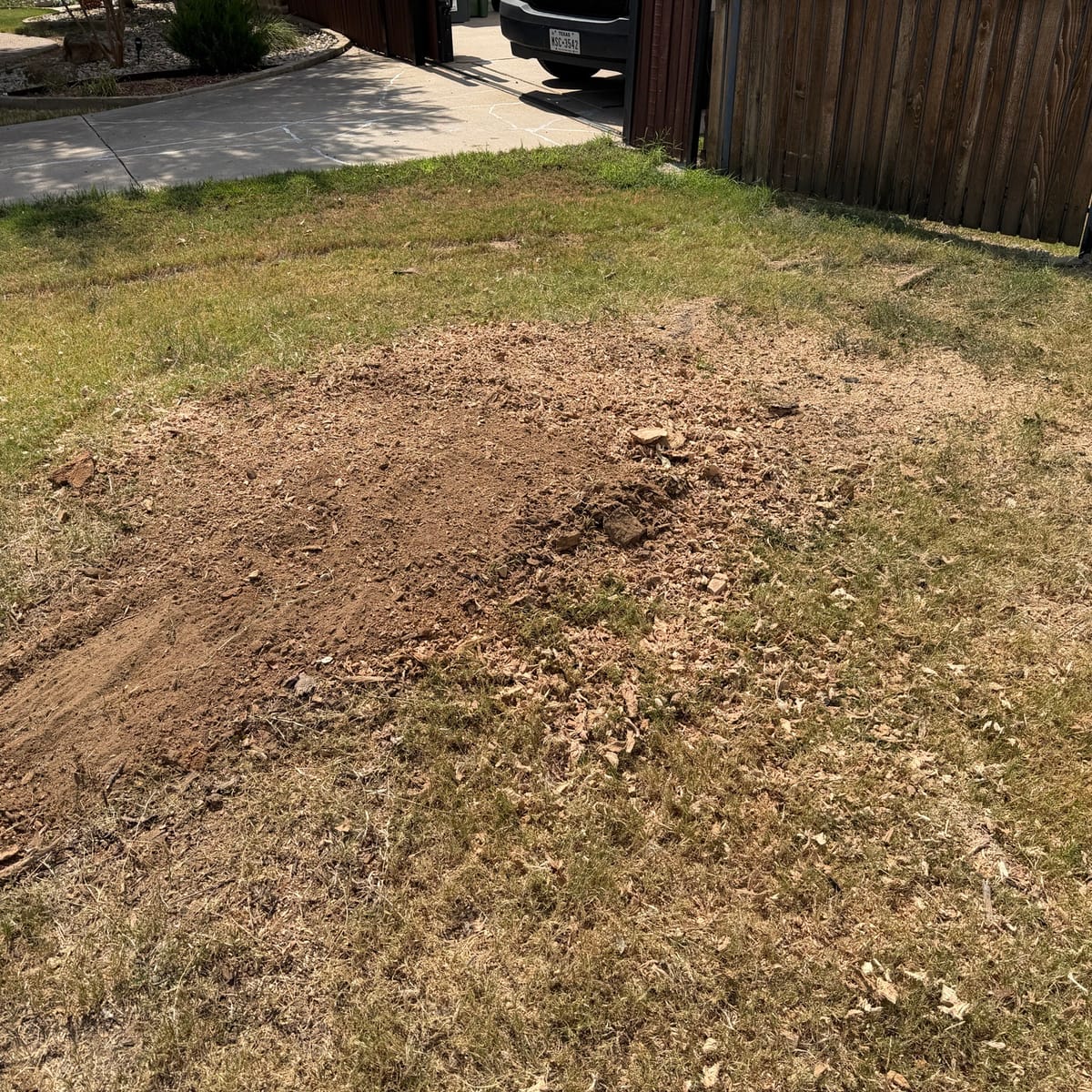After: stump removal in Haslet, TX — ground level, ready for grass