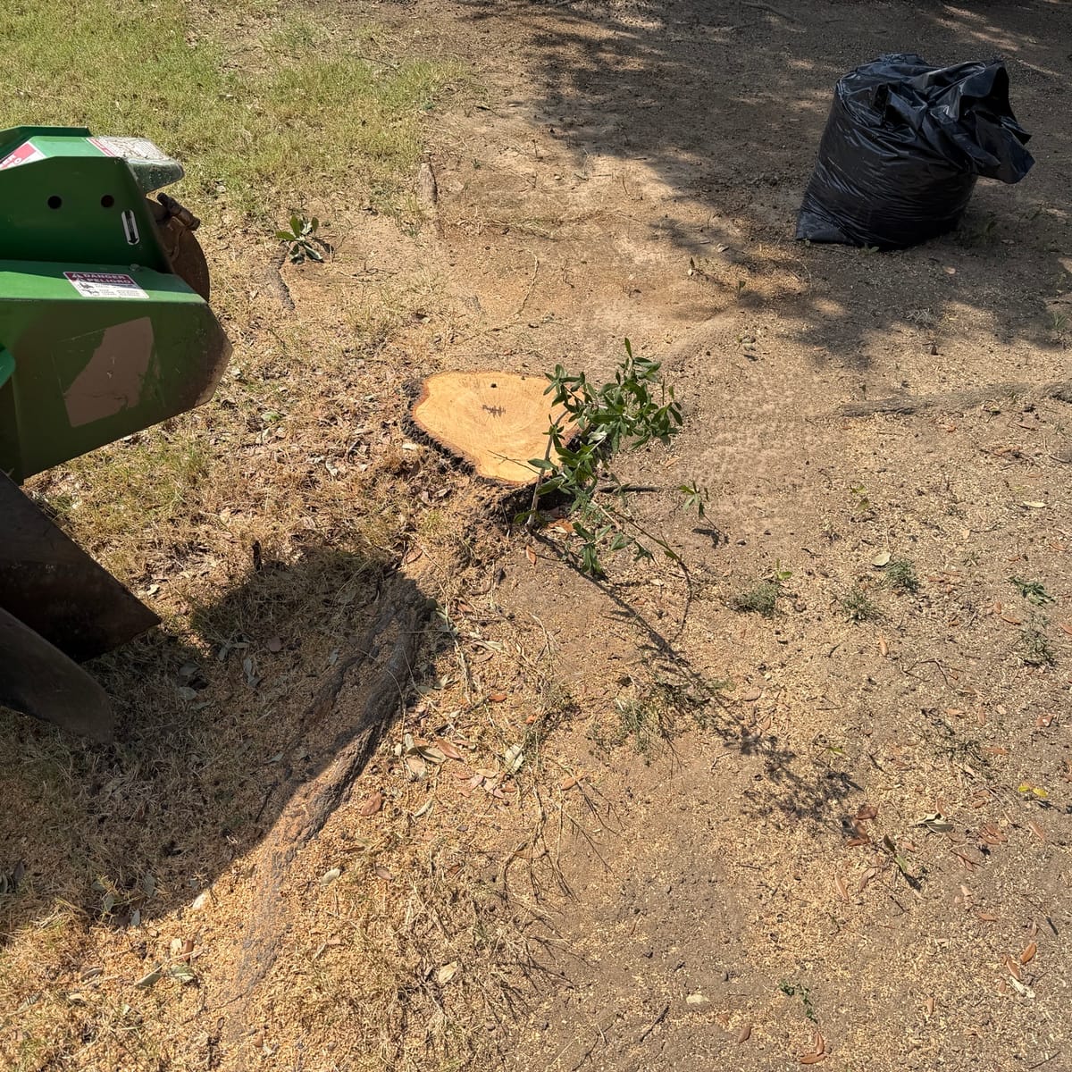 Before: the stump before stump removal in Haslet, TX