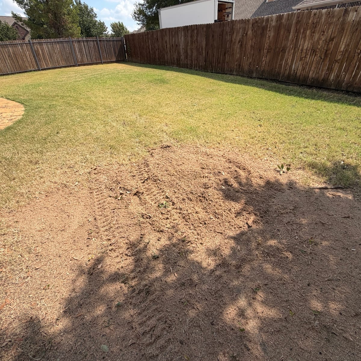 After: stump removal in Haslet, TX — ground level, ready for grass