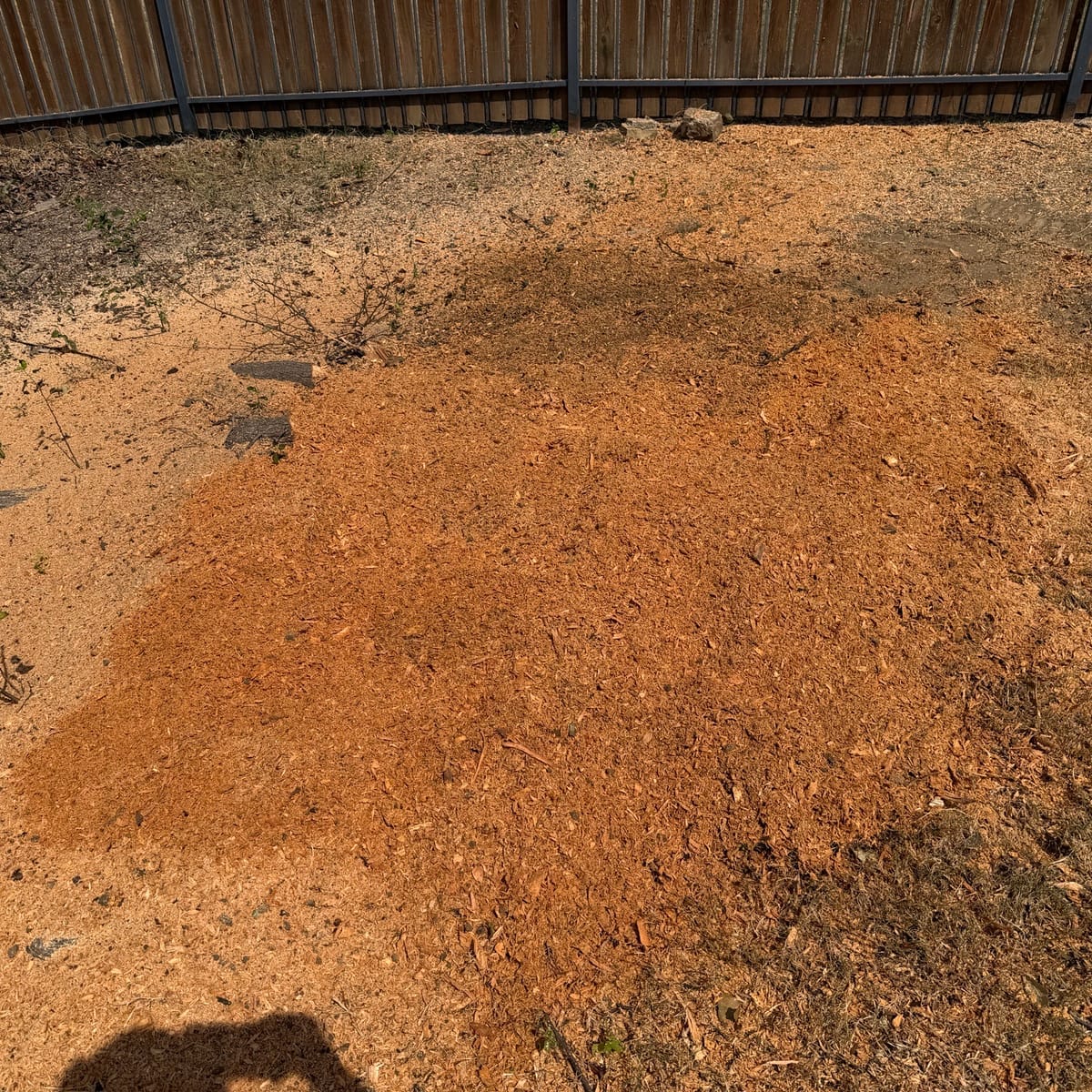 After: stump removal in Haslet, TX — ground level, ready for grass