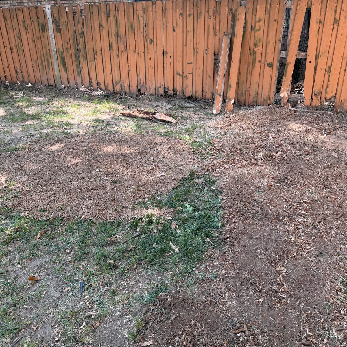 Before and after: stump removal in Irving, TX