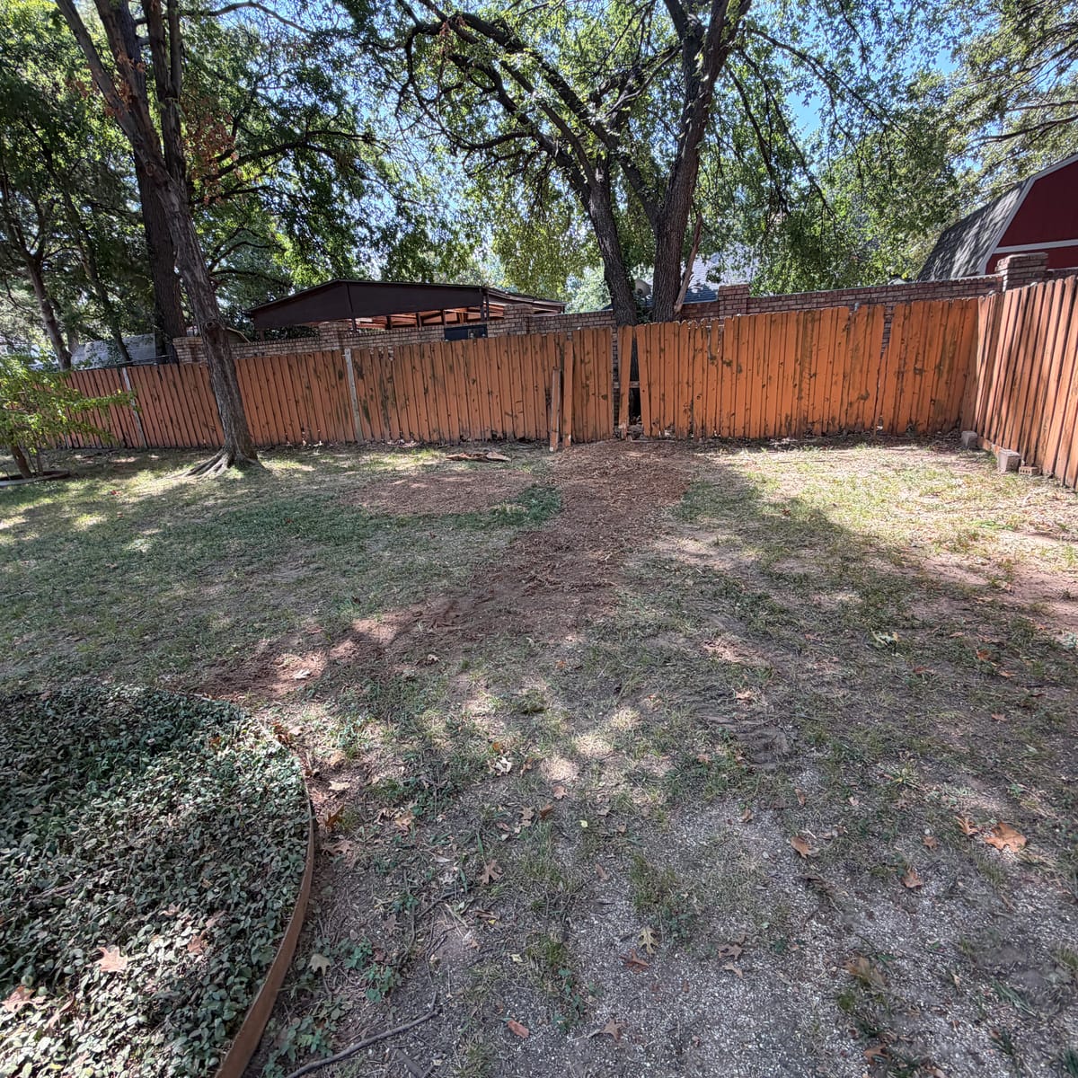Irving backyard after stump and surface root grinding, level and ready for grass