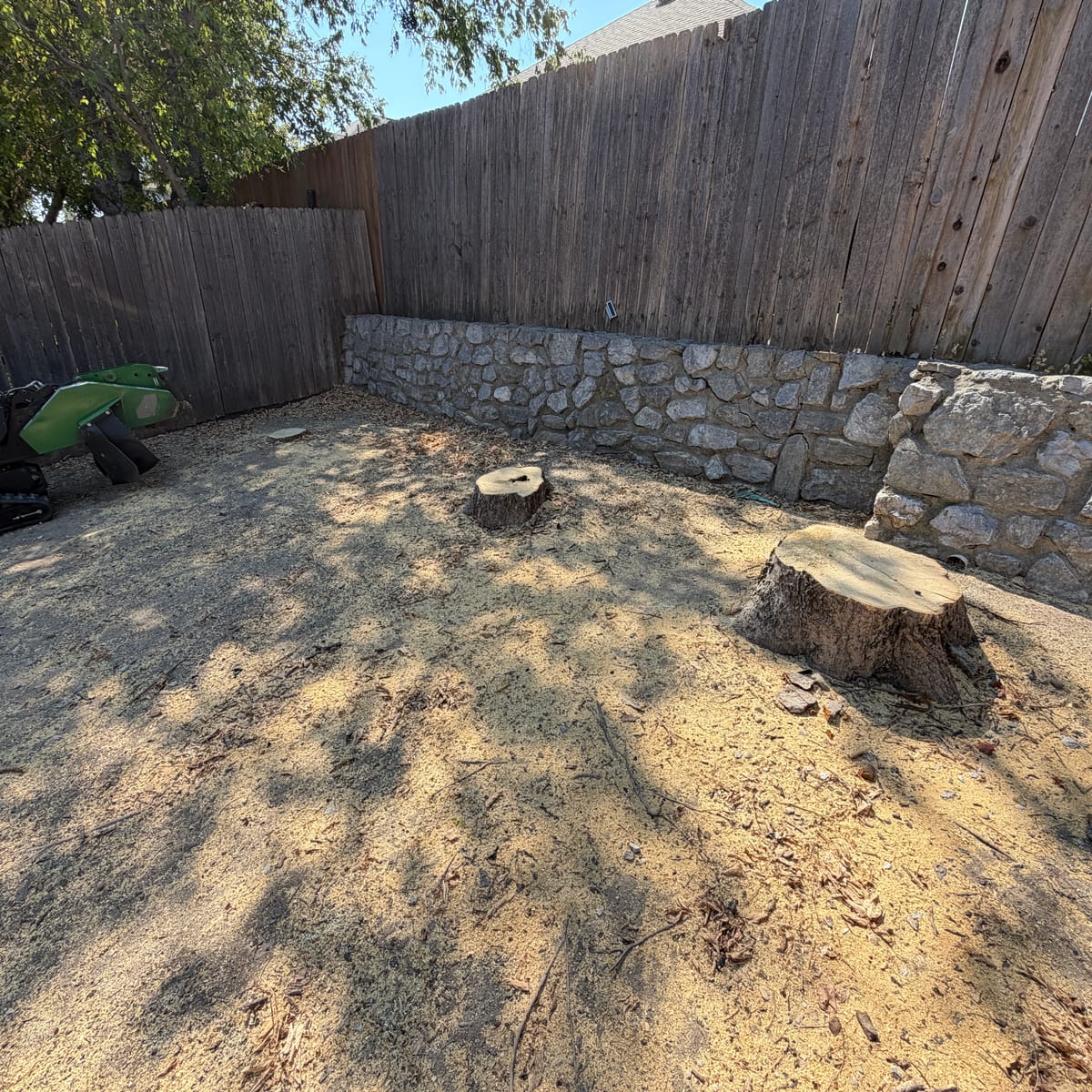 Before: stump removal project in Little Elm, TX