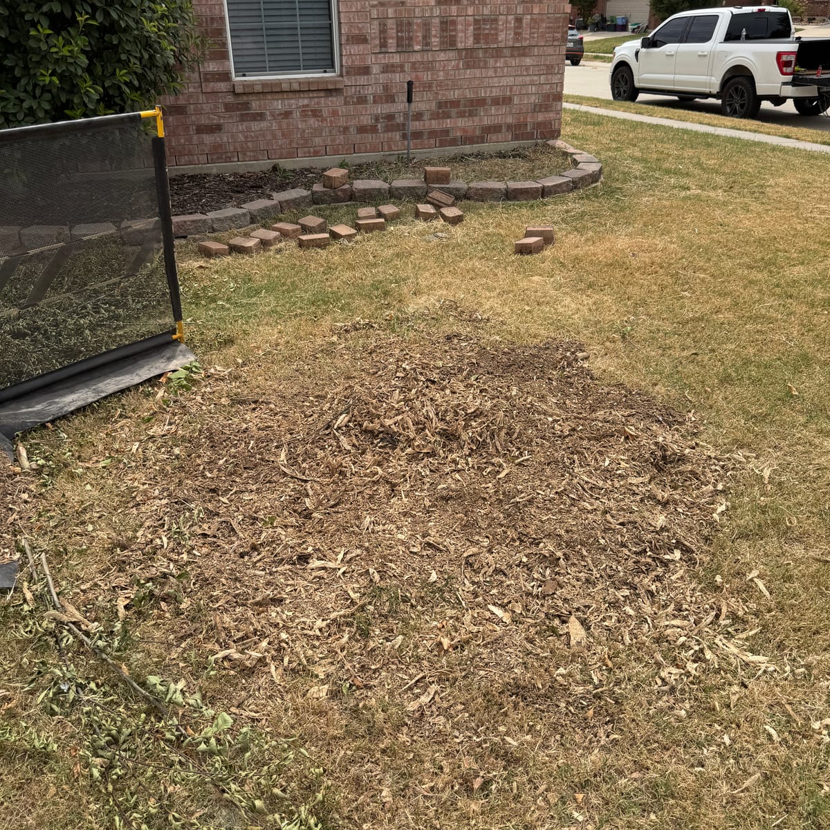 Before and after: stump removal in Rhome, TX