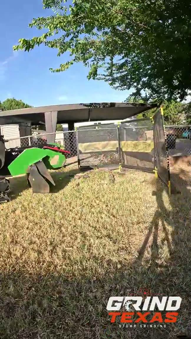 How Much Does Stump Grinding Cost in Dallas–Fort Worth?